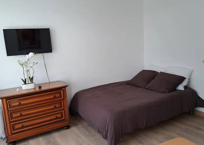 Appartement Cosy Lumineux Tres Confortable