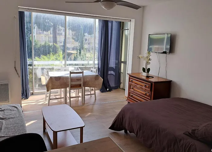 Appartement Cosy Lumineux Tres Confortable