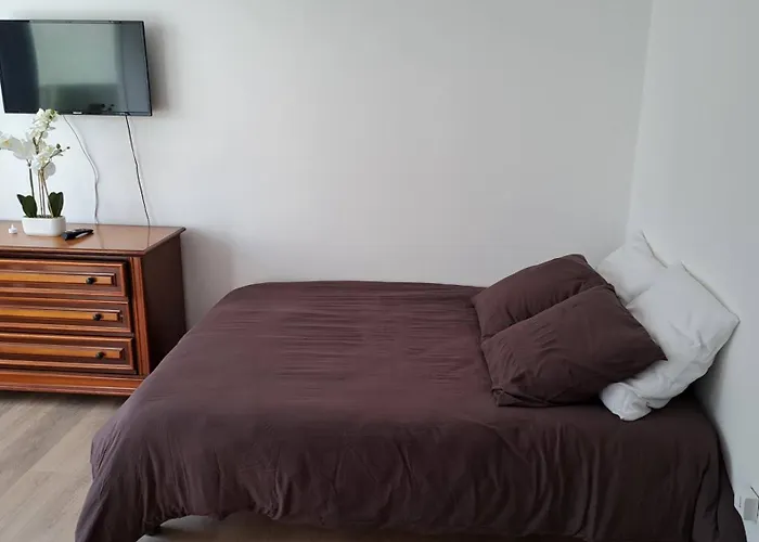 Appartement Cosy Lumineux Tres Confortable